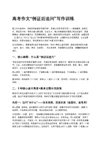 高考作文“例证后追问”写作高中语文讲义