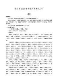 2025-2026年广东省湛江市高三上学期一模语文试卷（含答案）
