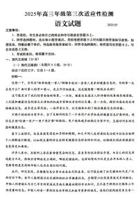 山东省青岛市2025年高三年级下学期第三次适应性检测（青岛三模）语文试卷（含答案）