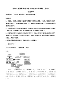 广东省深圳大学附属实验中学2025_2026学年高一上学期12月考试语文试卷（文字版，含答案）