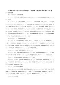 云南省普洱市2026届高三上学期期末教学质量监测语文（含答案）试卷