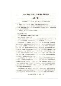 湖北省武汉市武昌区2025届高三年级上学期期末质量检测语文试卷（含答案）