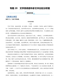 专题20 文学类阅读中多文本比较分析题-2024年高考语文二轮热点题型归纳与变式演练（上海专用）（原卷版）