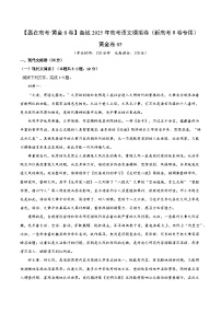 2025届高考语文模拟测试题（含解析）模拟卷05（原卷版）
