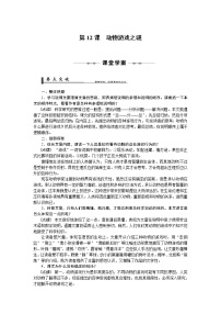 高中语文人教版 (新课标)必修三12 动物游戏之谜学案