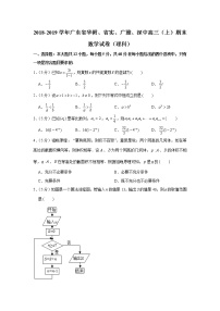 2018-2019学年广东省华附、省实、广雅、深中高三（上）期末数学试卷（理科）
