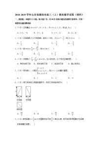 2018-2019学年山东省潍坊市高三（上）期末数学试卷（理科）