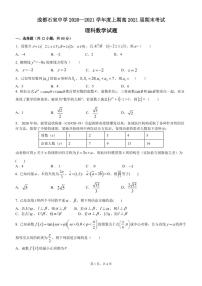 2021届四川省成都市石室中学高三上期期末考试数学（理）试题 PDF版