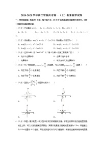 2020-2021学年浙江省湖州市高一（上）期末数学试卷