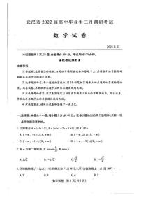 湖北省武汉市2021-2022学年高三下学期2月调研考试数学试题含答案