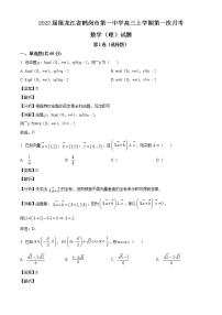 2022届黑龙江省鹤岗市第一中学高三上学期第一次月考数学（理）试题（含解析）
