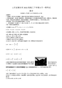 2022届山东省潍坊市高三下学期3月一模考试数学试题 word版
