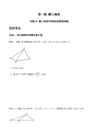 专题03 解三角形中的组合图形问题-备战2022年高考数学二轮复习之大题核心考点专题训练(新高考地区)(原卷版)