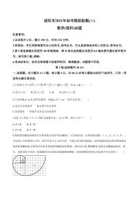 2021届陕西省咸阳市高三下学期5月高考模拟检测（三）理科数学试题 PDF版