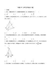 专题09 立体几何综合小题-备战2022年新高考数学必考点提分精练（新高考地区专用）