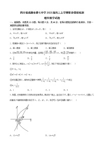 2023届四川省成都市第七中学高三上学期零诊模拟检测理科数学试题含解析