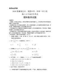 2020（襄阳五中，夷陵中学，钟祥一中三校）高三6月适应性考试理科数学试题含答案