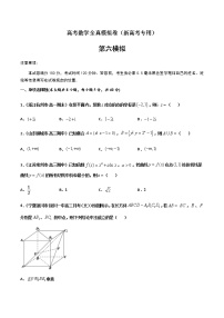 (新高考)高考数学全真模拟卷06（2份打包，解析版+原卷版）