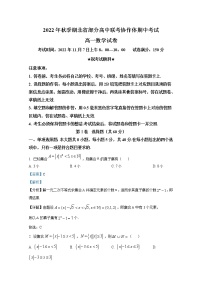 湖北省部分高中联考协作体2022-2023学年高一数学上学期期中试题（Word版附解析）