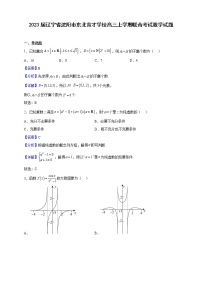 2023届辽宁省沈阳市东北育才学校高三上学期联合考试数学试题含解析