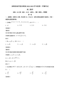 广东省深圳市深圳实验学校光明部2023届高三上学期期中数学试题（解析版）