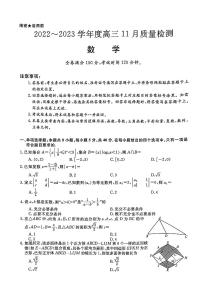 金科大联考2022-2023学年高三上学期11月（全国乙卷）数学试题