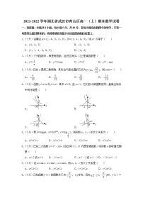 2021-2022学年湖北省武汉市青山区高一（上）期末数学试卷