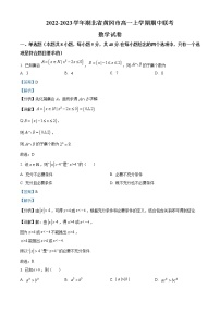 2023黄冈高一上学期期中联考数学试题含解析