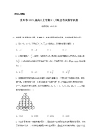 2023届辽宁省沈阳市高三上学期11月联合考试数学试卷含解析