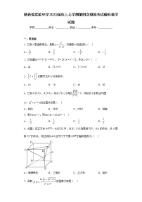 陕西省实验中学2023届高三上学期第四次模拟考试理科数学试题及答案