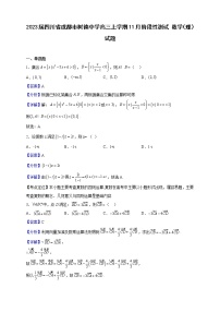 2023届四川省成都市树德中学高三上学期11月阶段性测试 数学（理）试题（解析版）
