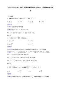 2022-2023学年广东省广州市番禺区南村中学高一上学期期中数学试题（解析版）