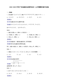 2022-2023学年广东省惠州市博罗县高一上学期期中数学试题（解析版）