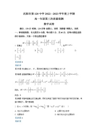 2022-2023学年辽宁省沈阳市第一二〇中学高一上学期第三次质量检测数学试题（解析版）