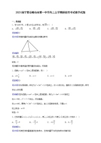 2023届宁夏石嘴山市第一中学高三上学期适应性考试数学试题（解析版）