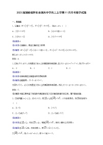 2023届湖南省怀化市湖天中学高三上学期11月月考数学试题（解析版）