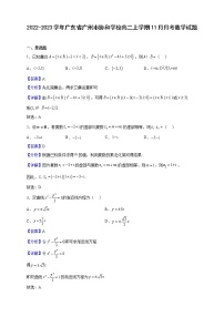 2022-2023学年广东省广州市协和学校高二上学期11月月考数学试题（解析版）