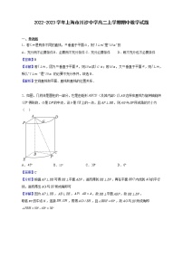 2022-2023学年上海市川沙中学高二上学期期中数学试题（解析版）
