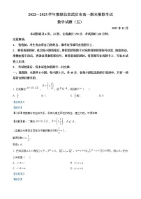 2022-2023学年湖北省武汉市高一上学期期末模拟数学试题(五)（解析版）
