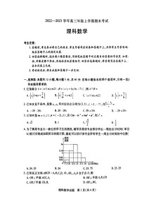 2022-2023学年河南天一大联考高三上学期1月期末数学试卷（扫描版）