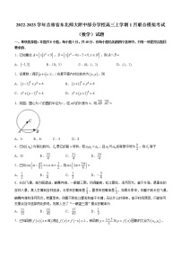 2022-2023学年吉林省东北师大附中部分学校高三上学期1月联合模拟考试数学试题（word版）