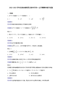 2022-2023学年北京市朝阳区北京中学高一上学期期中数学试题（解析版）