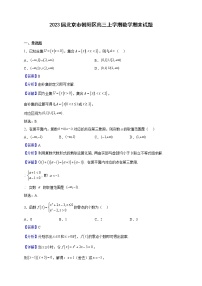 2023届北京市朝阳区高三上学期数学期末试题（解析版）