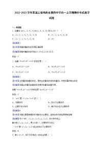 2022-2023学年黑龙江省鸡西市第四中学高一上学期期中考试数学试题（解析版）
