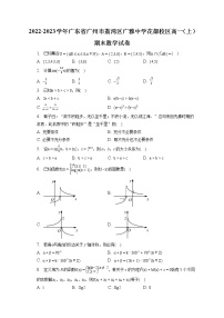 2022-2023学年广东省广州市荔湾区广雅中学花都校区高一（上）期末数学试卷（含答案解析）