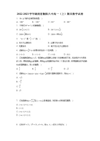 2022-2023学年湖南省衡阳八中高一（上）期末数学试卷（含答案解析）