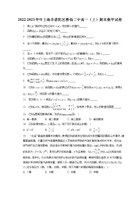 2022-2023学年上海市普陀区曹杨二中高一（上）期末数学试卷（含答案解析）