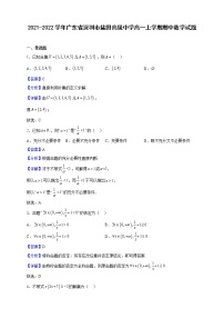 2021-2022学年广东省深圳市盐田高级中学高一上学期期中数学试题（解析版）