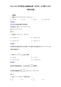 2022-2023学年黑龙江省鹤岗市第一中学高一上学期10月月考数学试题（解析版）