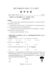 湖北省八市2023届高三下学期3月联考试题 数学 PDF版含答案